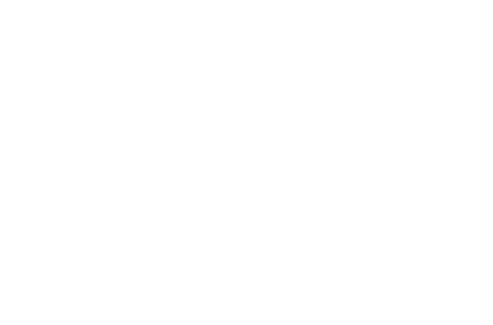 İçerik Okulu